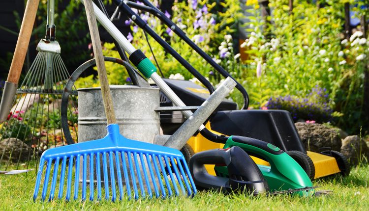 Jakie narzędzia ogrodnicze?