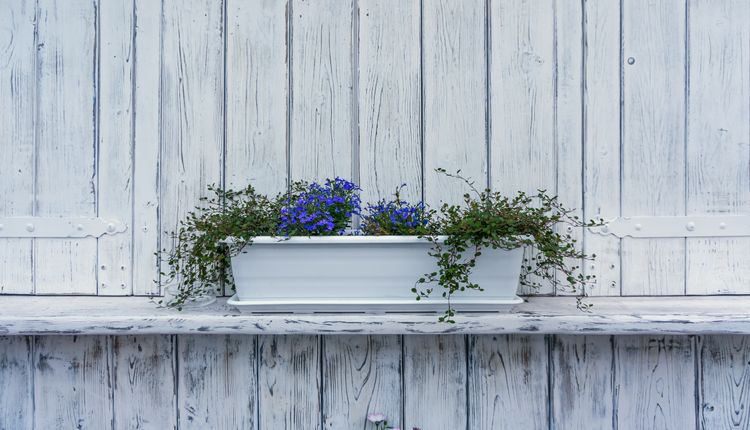 Jak urządzić dom w stylu prowansalskim? Podpowiadamy!