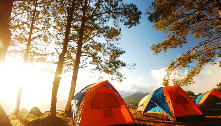 Jaki namiot kupić? Oto 5 naszych propozycji!