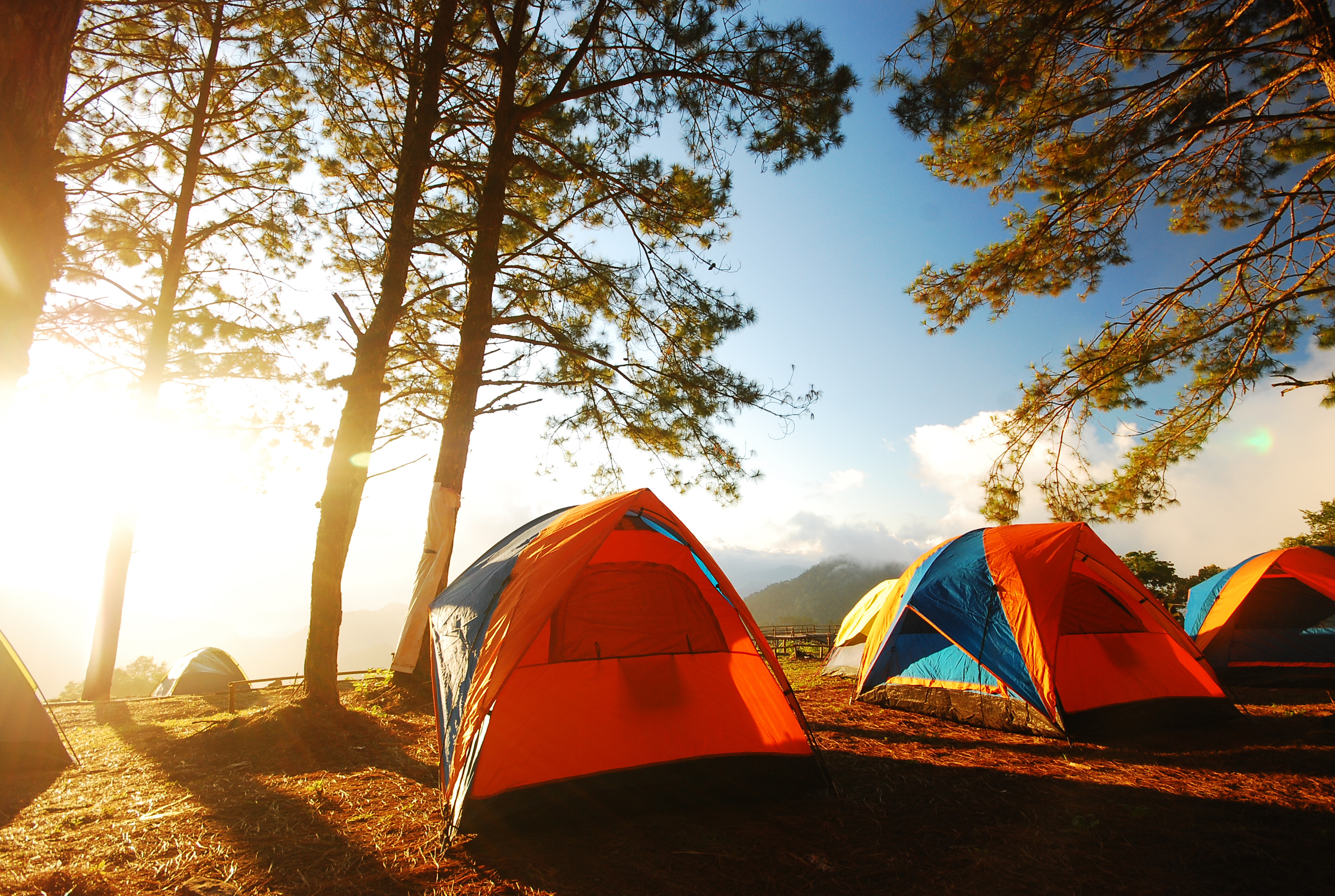 Jaki namiot kupić? Oto 5 naszych propozycji!