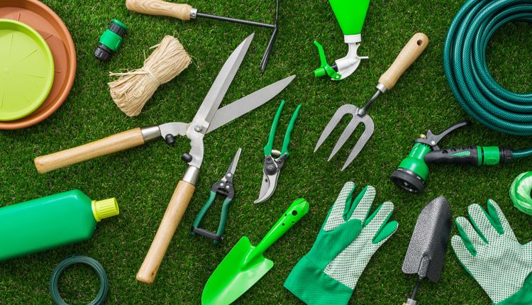 Narzędzia ogrodnicze – które są najpotrzebniejsze?