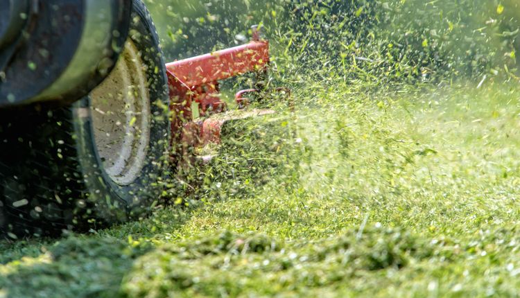 Kosiarka elektryczna – czy sprawdzi się w Twoim ogrodzie?