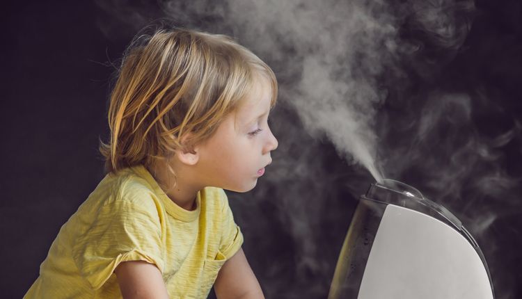 Oczyszczacz powietrza czy nawilżacz –  co wybrać?