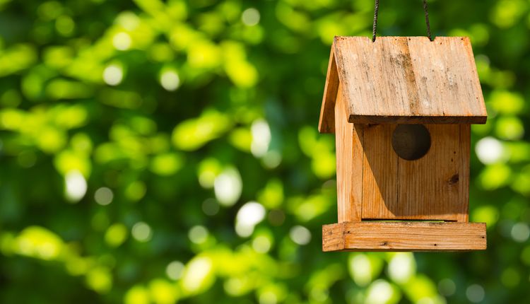 Karmnik – jak zrobić?