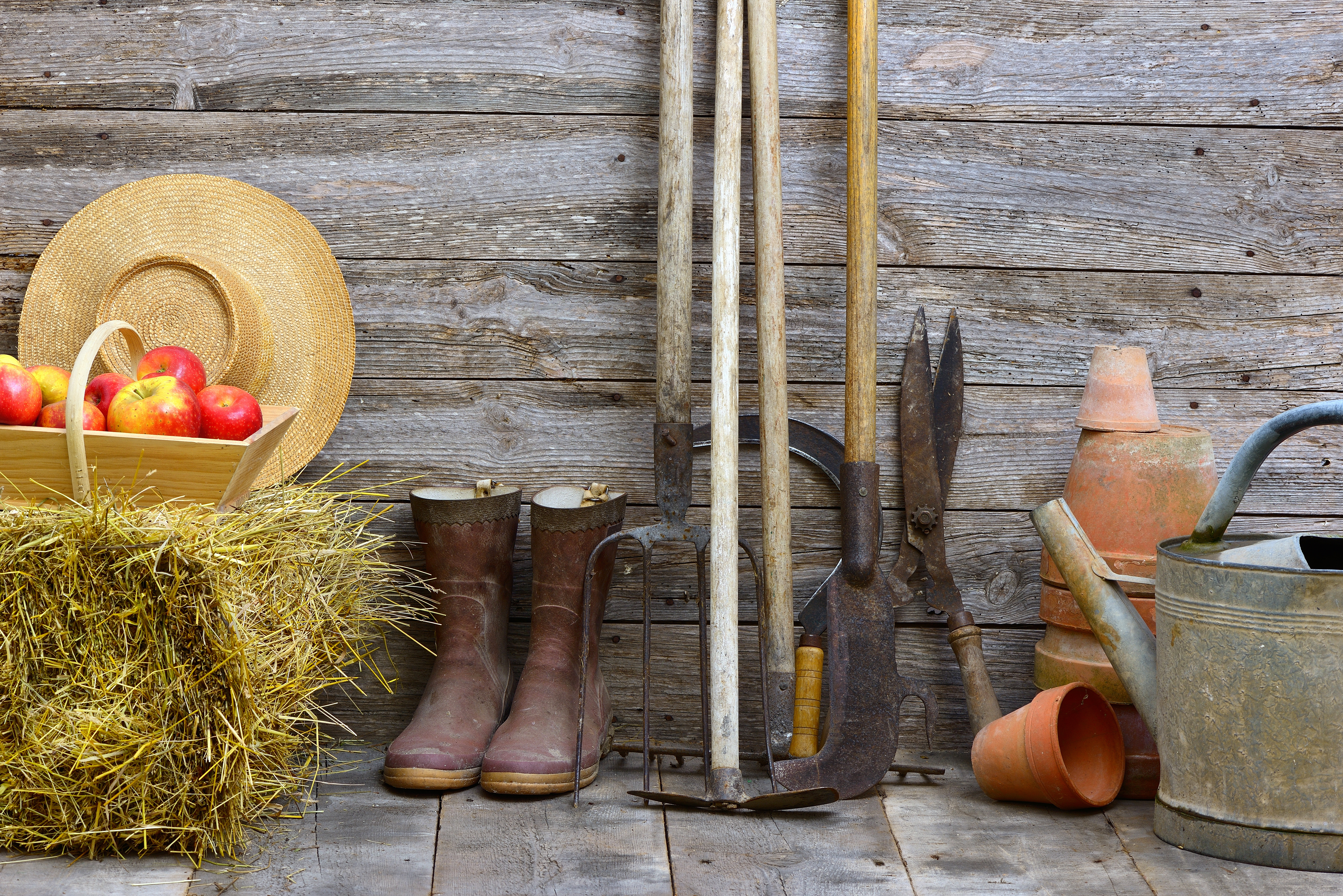Domek na narzędzia ogrodowe – niezbędny w każdym ogrodzie!