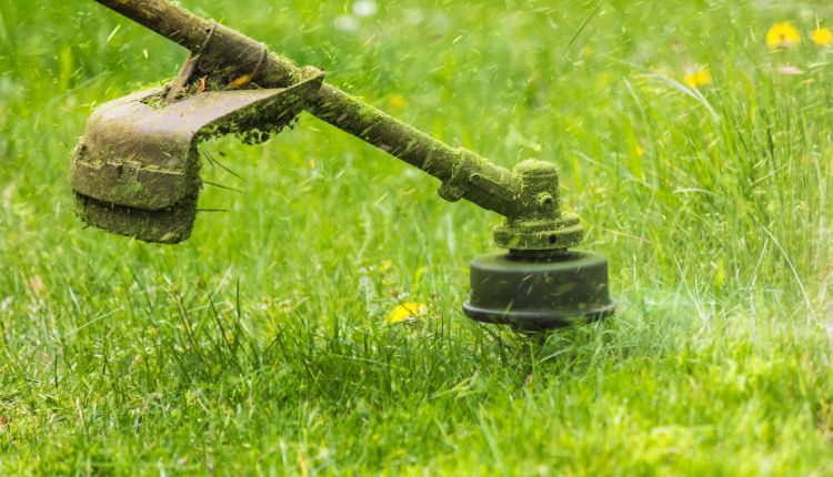 Jaka podkaszarka elektryczna?