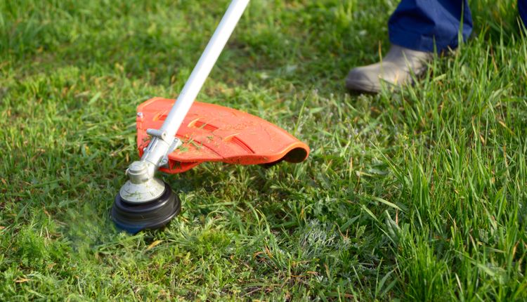 Jaką podkaszarkę kupić? 3 najlepsze modele