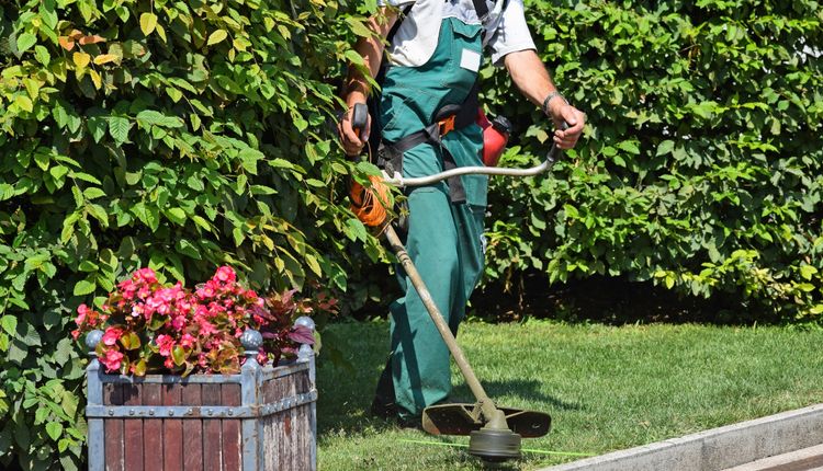 Czym różni się podkaszarka od kosy spalinowej?