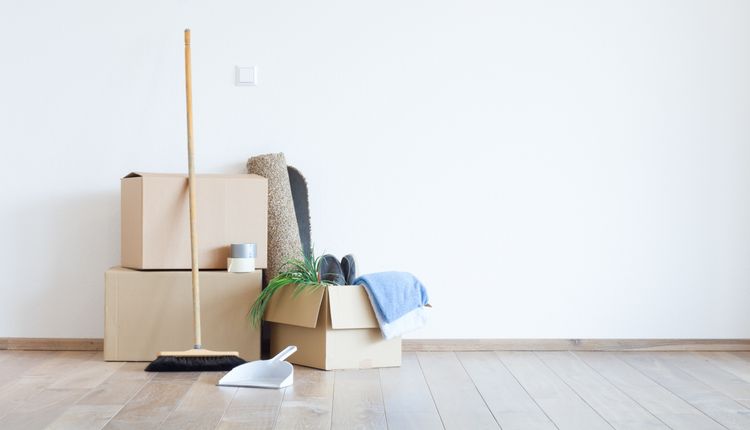 Jaką miotłę warto kupić?