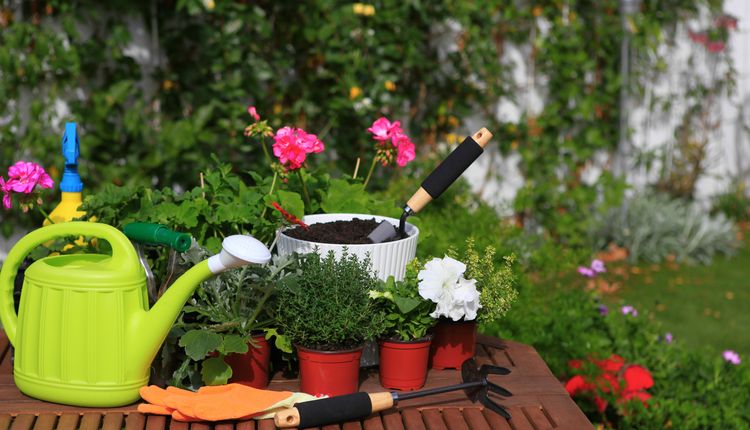 6 akcesoriów do ogrodu, które przydadzą ci się tego lata