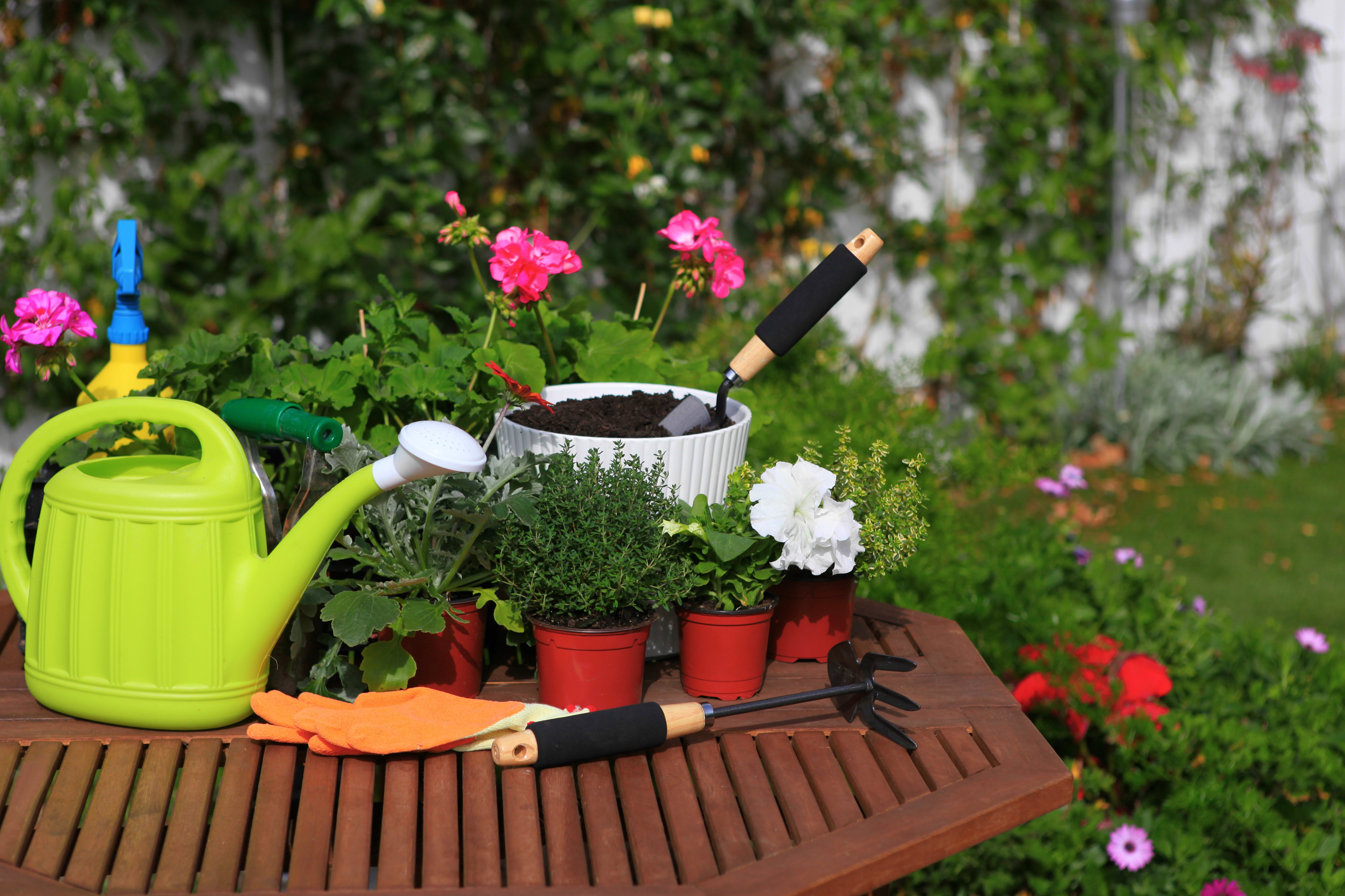 6 akcesoriów do ogrodu, które przydadzą ci się tego lata
