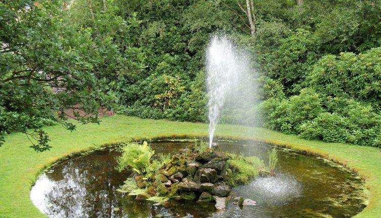Jaka pompa do oczka wodnego? Pomagamy wybrać!