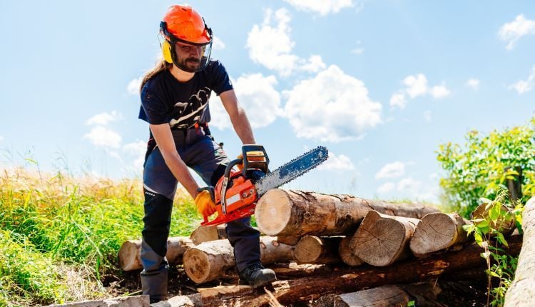 Jaką piłę łańcuchową kupić? Wyjaśniamy!