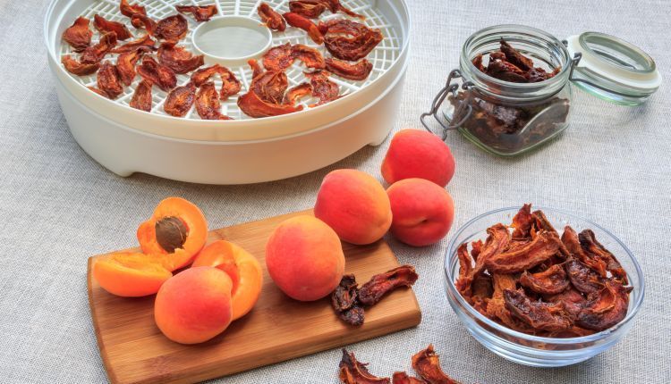 Suszarka do owoców – jak wybrać?