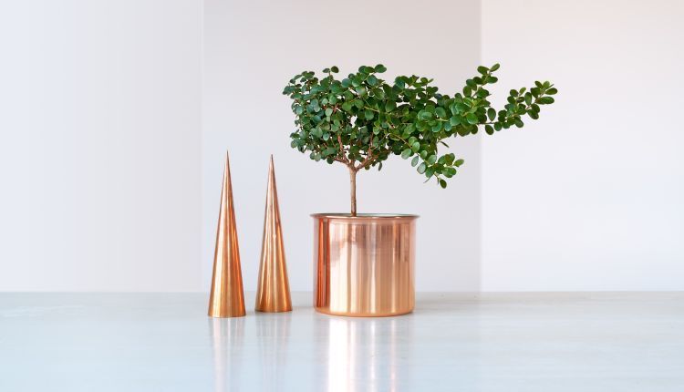 Miedziane dodatki do domu – zobacz najciekawsze!